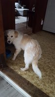 20181113_120241.jpg
