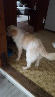 20181113_120242.jpg