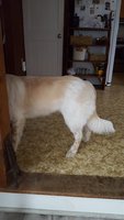 20181113_120316.jpg