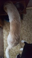 20181113_120611.jpg