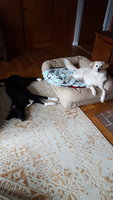 20181113_130744.jpg