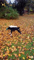 20181113_133915.jpg