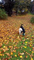 20181113_133919.jpg