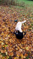 20181113_134011.jpg