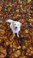 20181113_134450.jpg