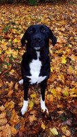 20181113_134631.jpg