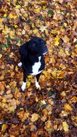 20181113_134651.jpg