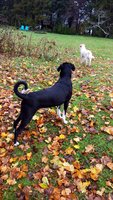 20181113_134736.jpg