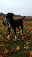 20181113_134834.jpg