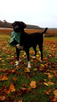 20181113_134838.jpg