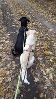 20181105_121240.jpg