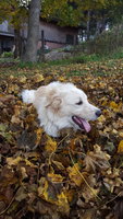 20181105_131009.jpg