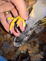 WP_20161229_16_26_54_Pro_LI.jpg