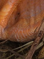IMG_0961.JPG