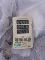 20181115_065138.jpg