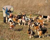 65A22886-AF42-4F5C-978C-67EE3852B8D9.jpeg