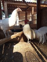 20181115_114841.jpg