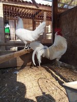 20181115_114925.jpg