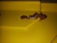 20181115_165352.jpg