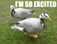 12C3E7C7-2EC8-40D9-A96E-AD67C9E7EDDB.gif