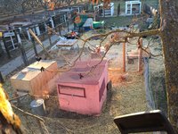 17-12-21_treesawing3.jpg