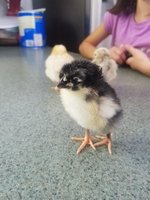 20181117_094758.jpg