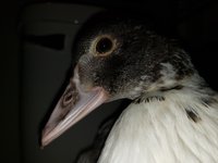 20181117_154659.jpg