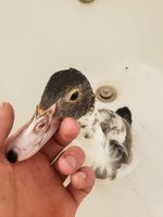 20181117_154044.jpg