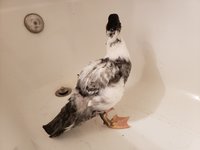 20181117_155102.jpg