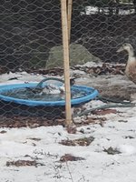 20181117_155930.jpg