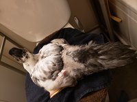 20181117_154831.jpg