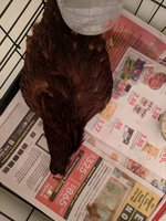 IMG_20181117_181340.jpg