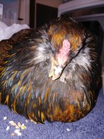20181117_103137.jpg