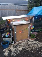 20181118_162050.jpg 20181118_162050.jpg