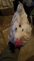 20181115_155217.jpg