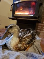 20181119_160412.jpg