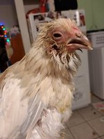 20181119_173851.jpg