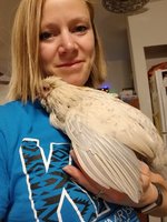 20181119_173915.jpg