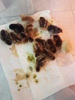 20181118_103644.jpg 20181118_103644.jpg