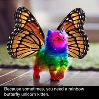 5E9BB92B-DCC3-4FD9-A70B-6FF08696863C.jpeg