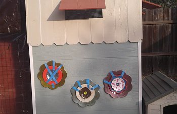 20181120_150046.jpg