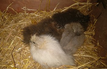 IMG_20181112_091516.jpg