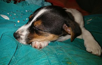 IMG_20180522_214754.jpg