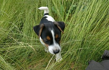 IMG_20180528_153219.jpg
