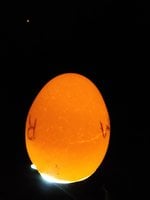 IMG_20181123_232407.jpg IMG_20181123_232407.jpg