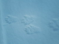20181124_115503.jpg