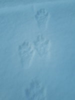 20181124_115505.jpg