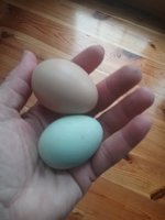 20181124_144542.jpg