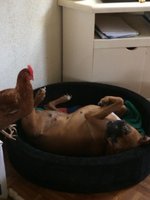 C0E5904A-AE14-4A46-ACA9-AEDD4B9581E7.jpeg