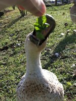 IMG_20181114_182636.jpg